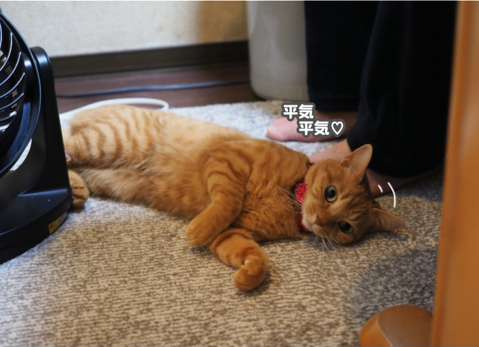 22日夜ブログ７