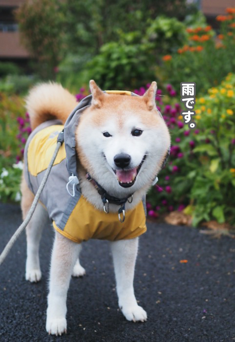 4日夜ブログ５