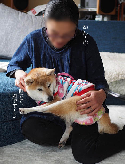 15日ブログ6