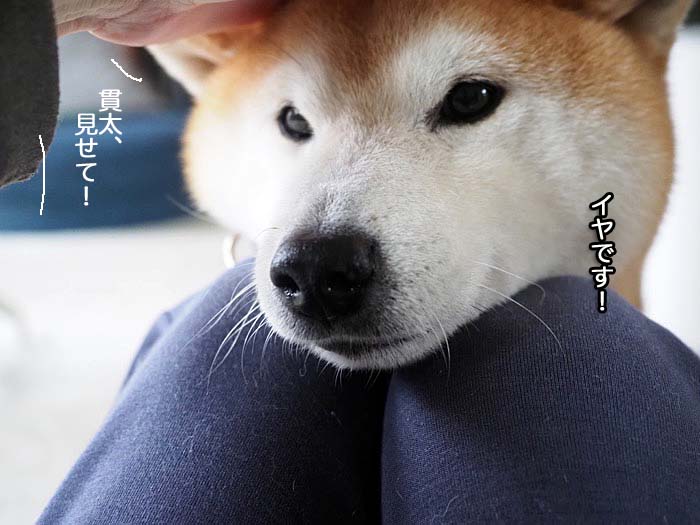 16日ブログ２