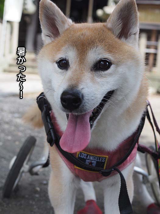 5日夜ブログ6