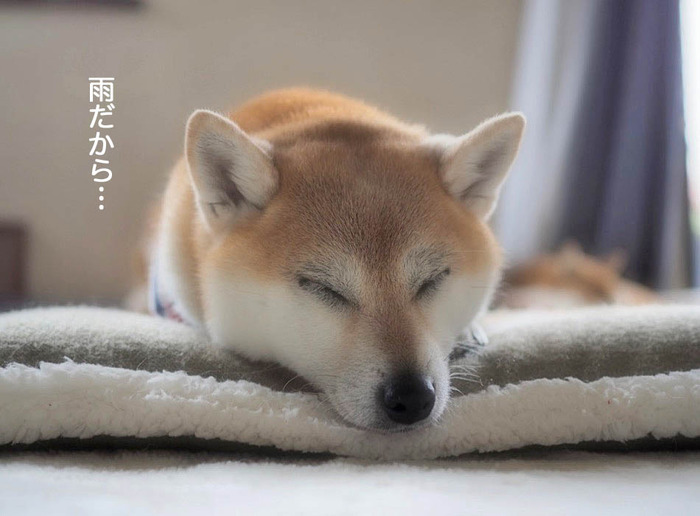 28日ブログ2
