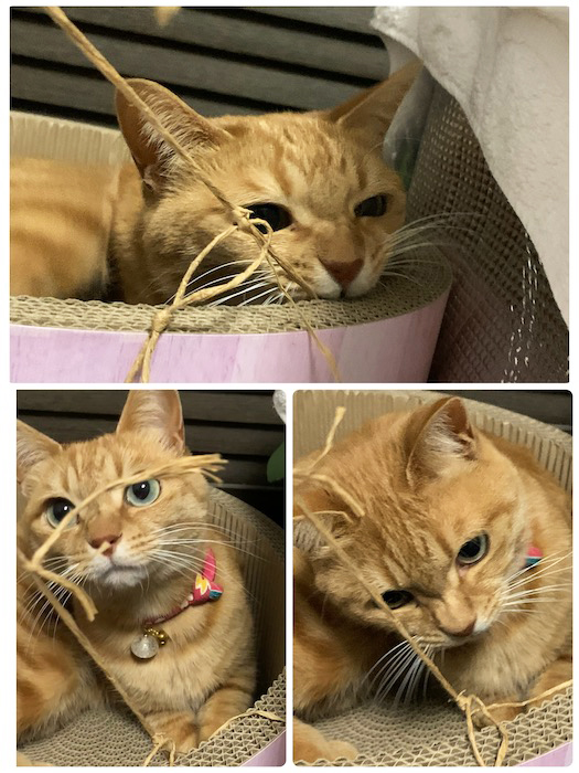31日夕ブログ２