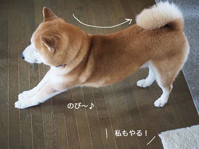 10日ブログ10
