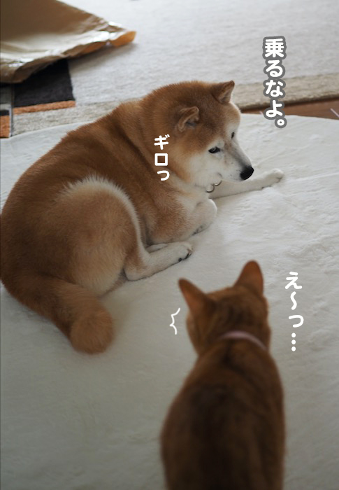 25日夕ブログ６