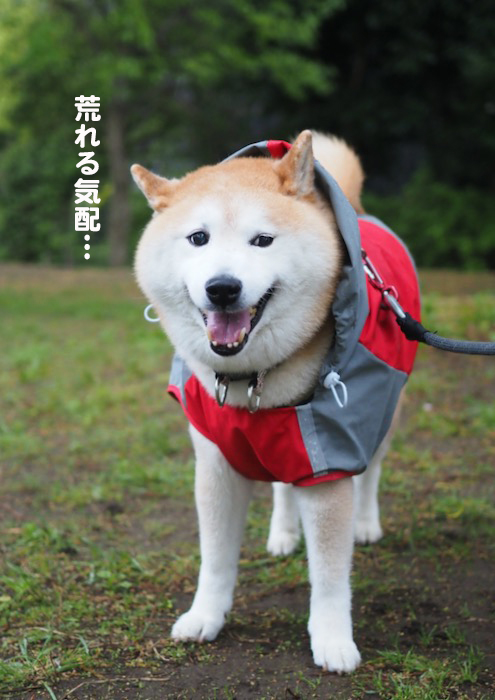 8日ブログ２