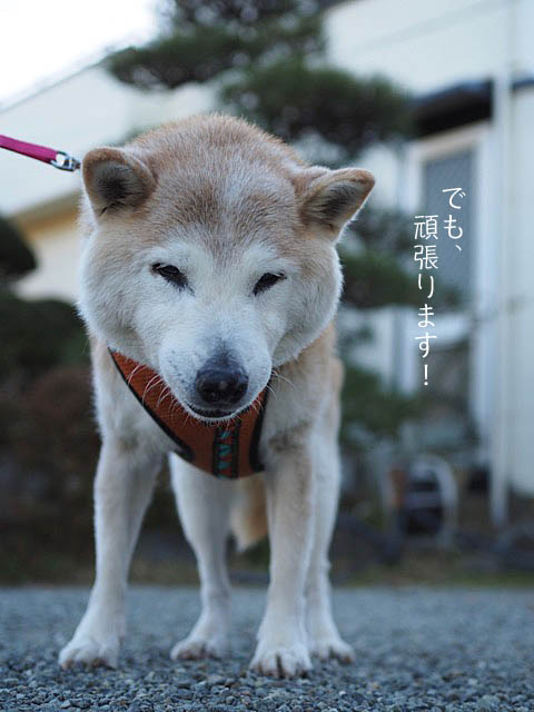 3日ブログ8