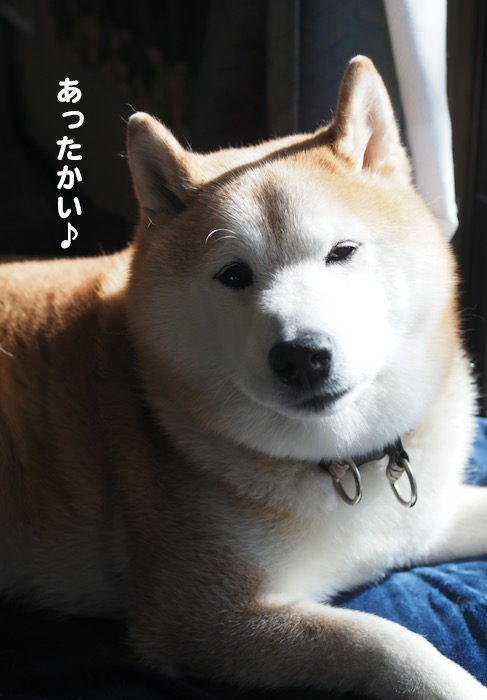 21日ブログ４