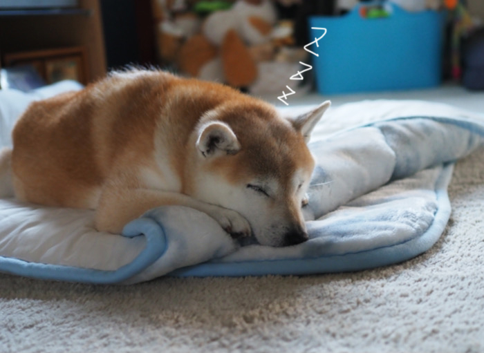 21日ブログ３