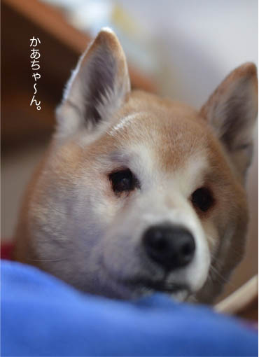 24日ブログ9.jpg