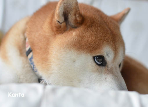 26日ブログ5.jpg