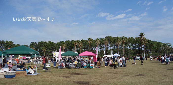 2日午後ブログ２