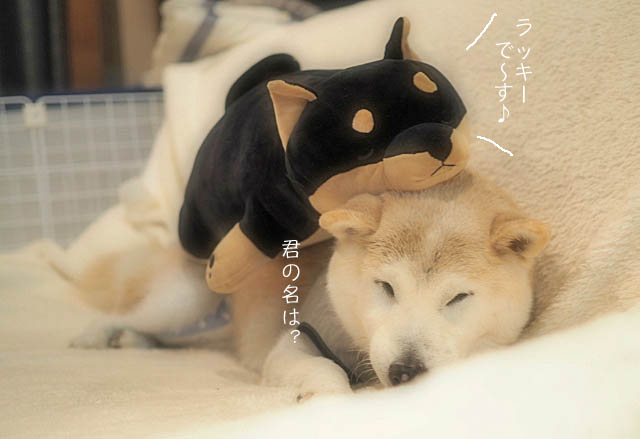7日ブログ8