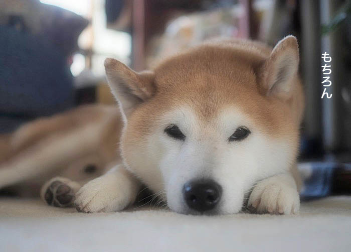 3日ブログ１