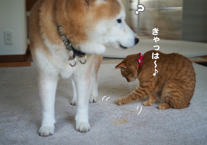 19日ブログ8