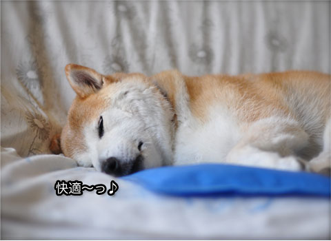 26日ブログ15.jpg