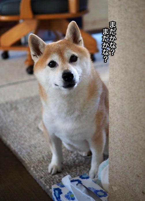 9日ブログ1