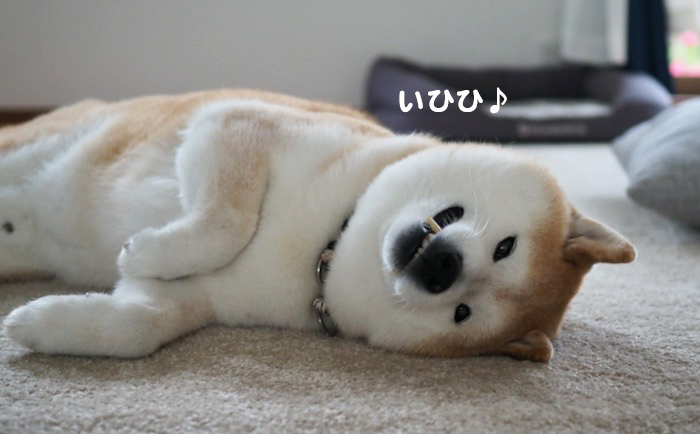 21日ブログ３