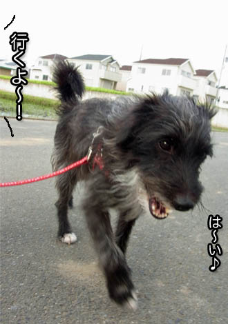 5日ブログ６.jpg