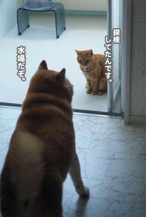 13日夕ブログ６