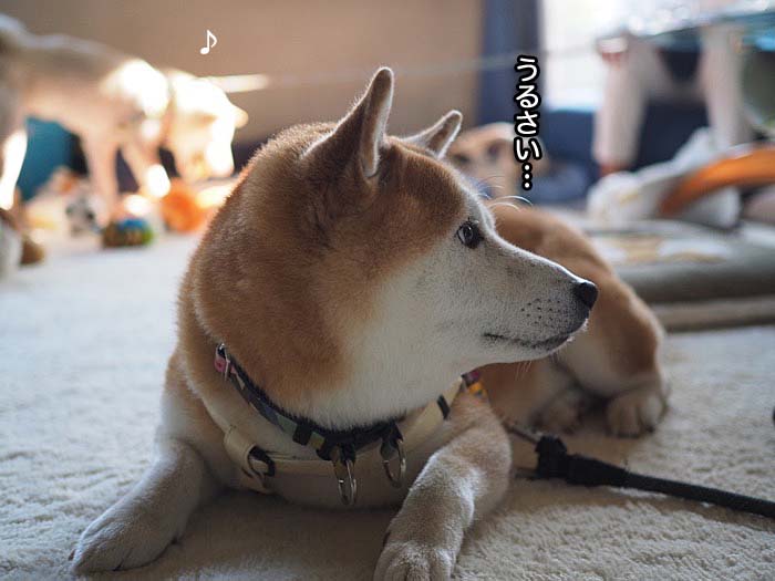 1日夕ブログ２