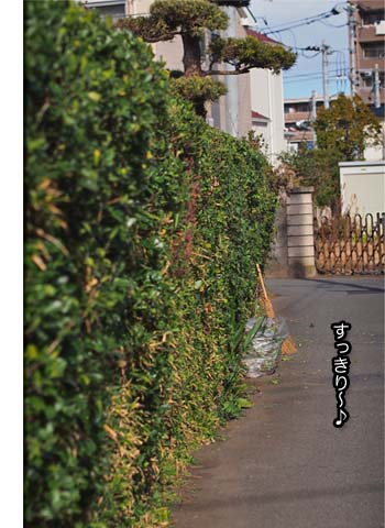 24日ブログ12.jpg