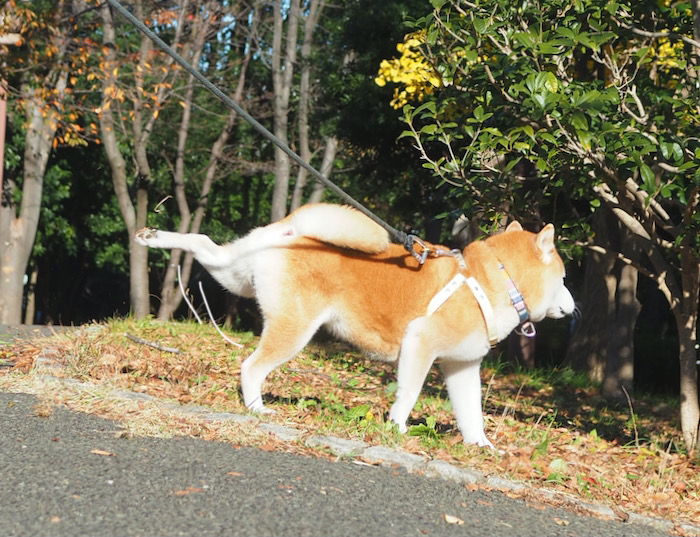 5日ブログ６