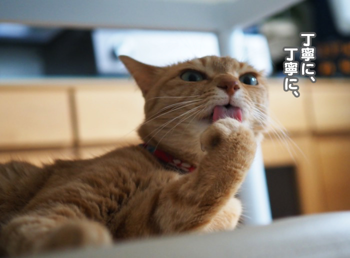 9日夕ブログ９