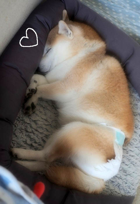 7日ブログ５