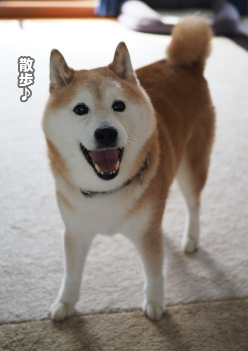 5日夜ブログ２