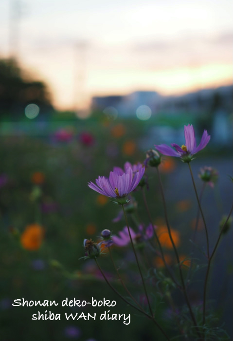 30日夜ブログ１
