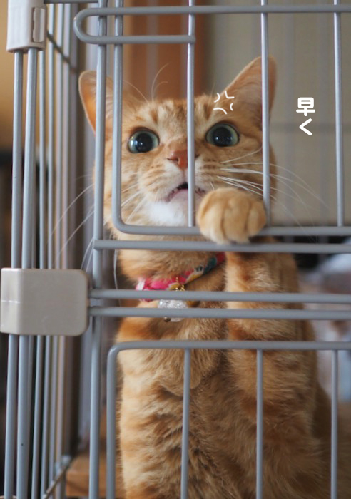 27日ブログ２