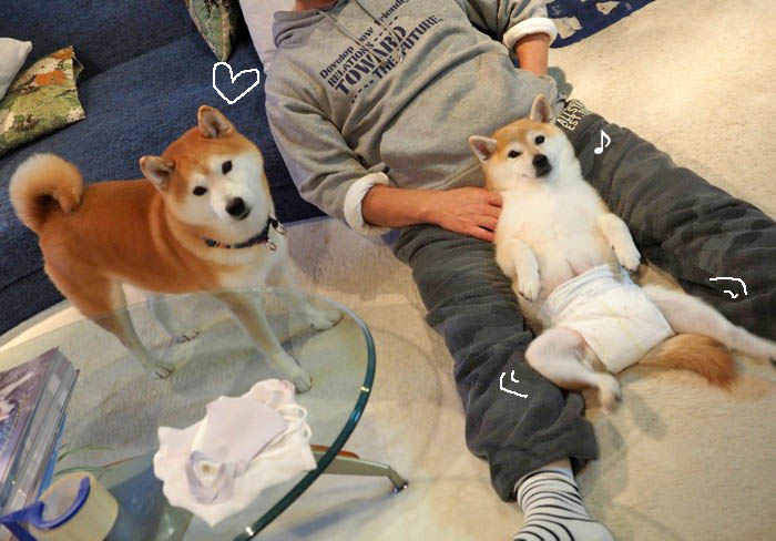 27日ブログ１