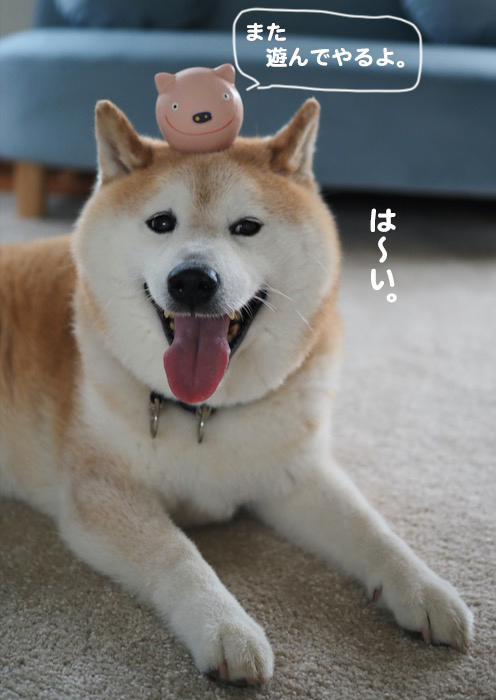 16日夕ブログ１０