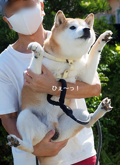 5日午後ブログ２