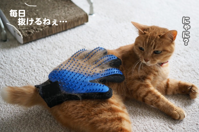 10日夕ブログ２