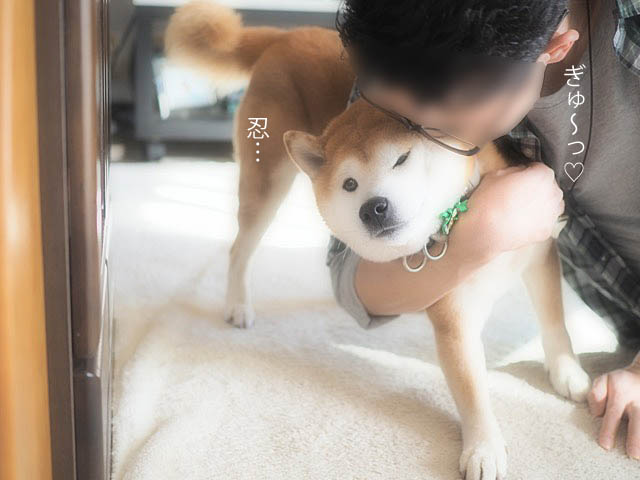 27日ブログ11