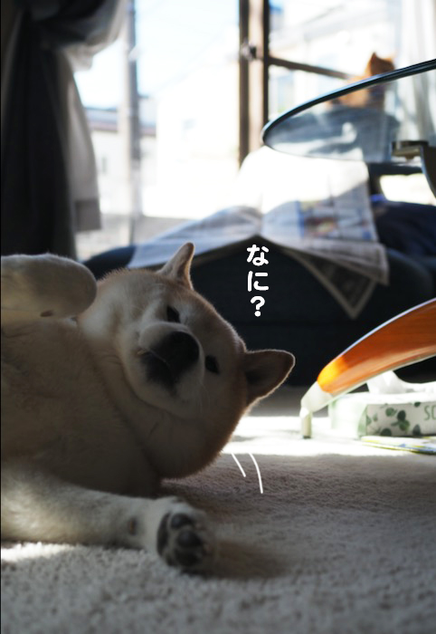 8日夕ブログ３