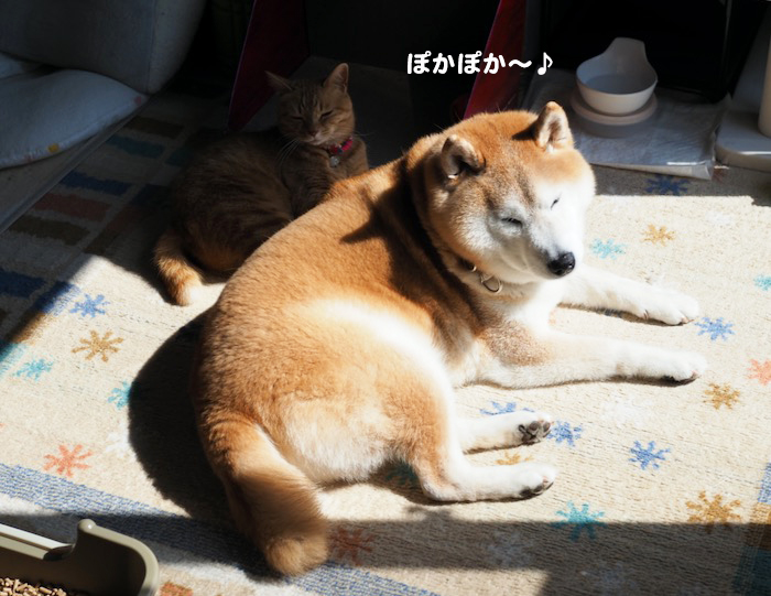 18日ブログ２