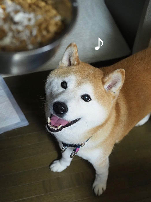 22日ブログ２