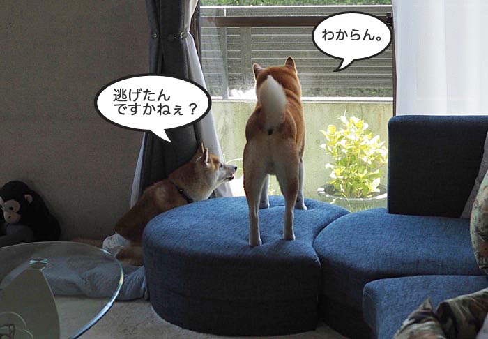 7日ブログ６