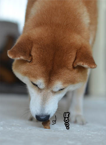 30日ブログ13.jpg