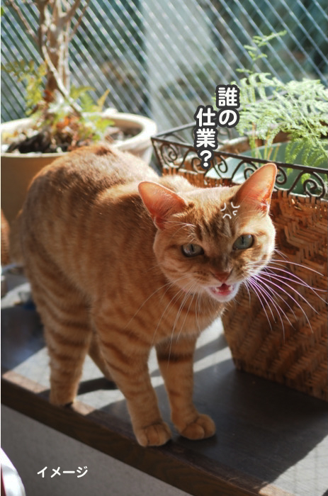 20日ブログ３