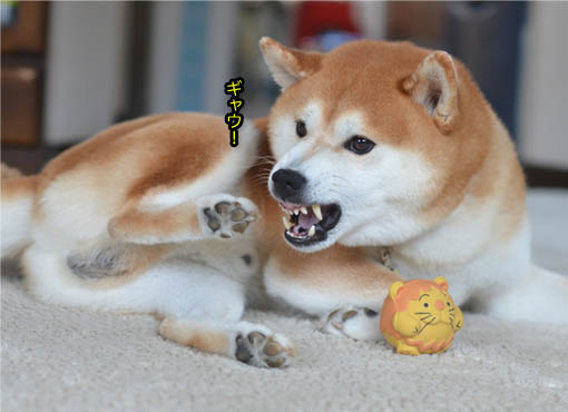 21日ブログ6.jpg