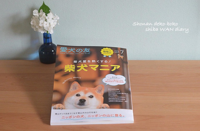 26日ブログ2