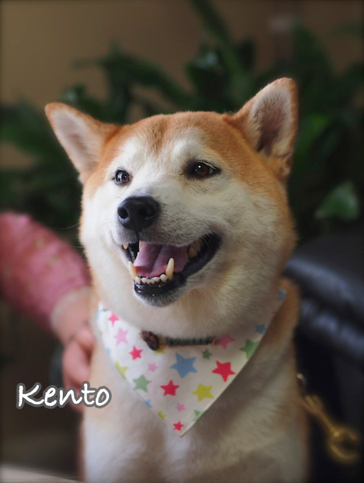 24日ブログ２