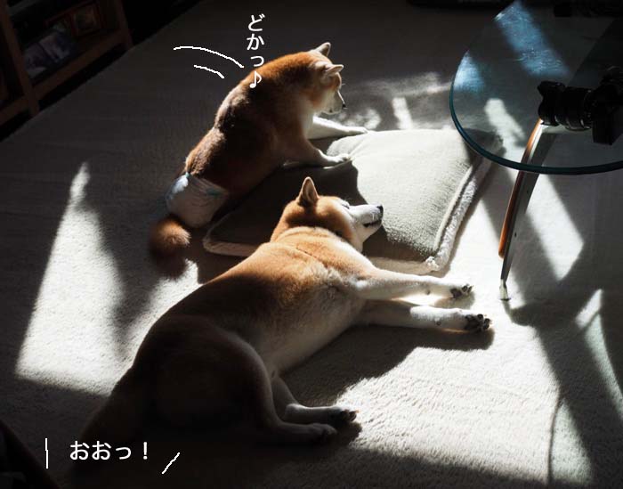 13日夜ブログ6