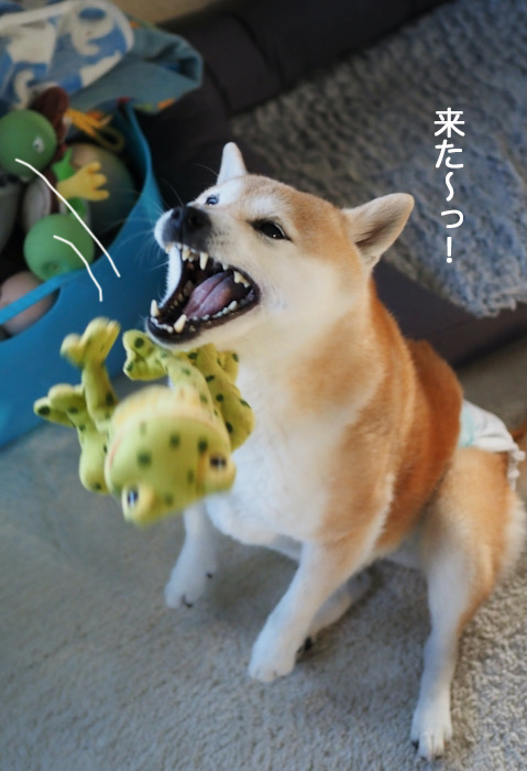 18日夜ブログ４