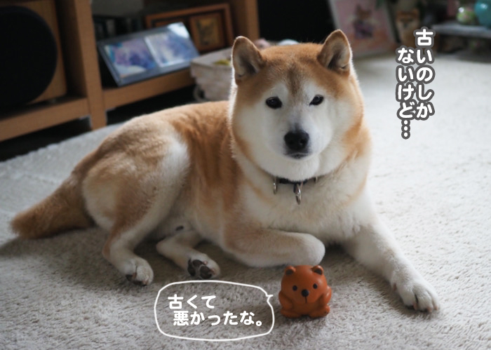 22日夜ブログ２