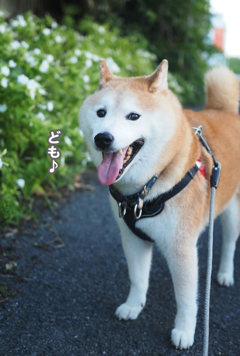 13日ブログ2